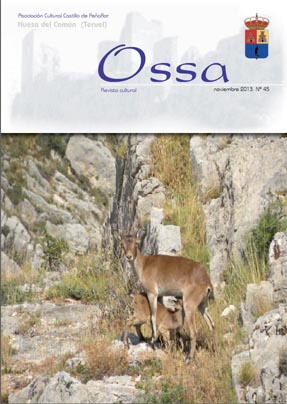 Portada del nº 45
